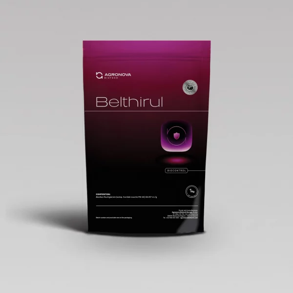 Belthirul