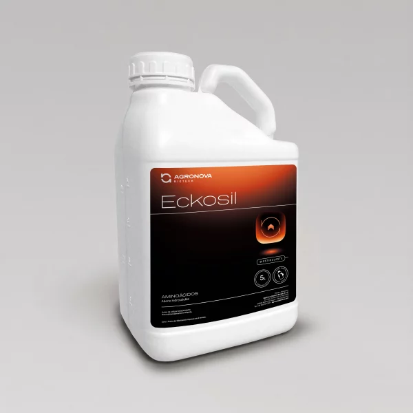 Eckosil